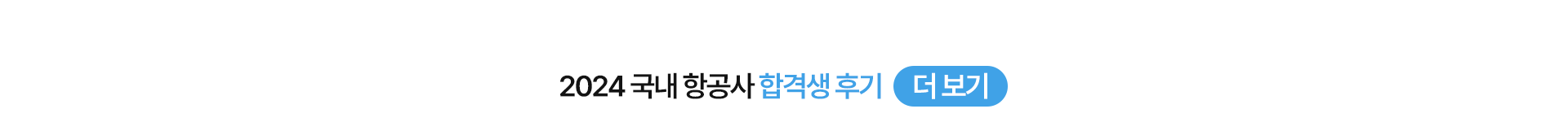 국내 항공사 올인원 정규 과외